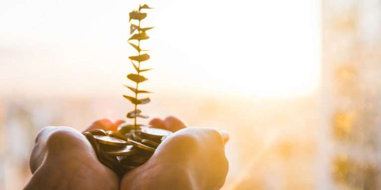 Mani che tengono delle monete dalle quali germoglia una pianta