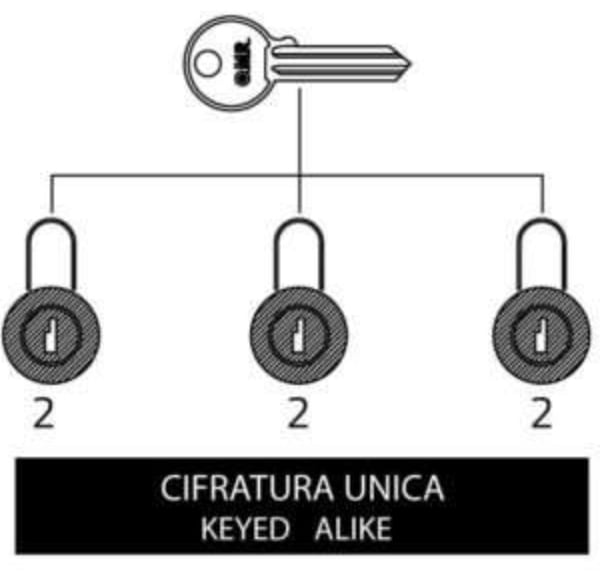 Keyed alike (KA)